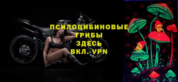 mix Арсеньев