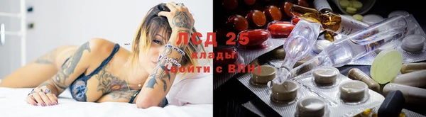 дживик Магас