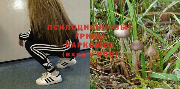 дживик Армянск