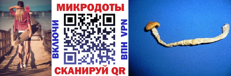 Псилоцибиновые грибы GOLDEN TEACHER  даркнет сайт  Курган 